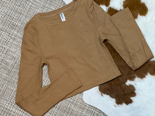 Variegated Rib Long Sleeve Crop Top