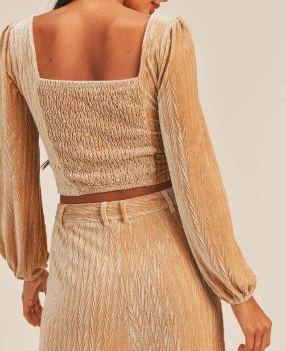 Angelica Pleated Velvet Top