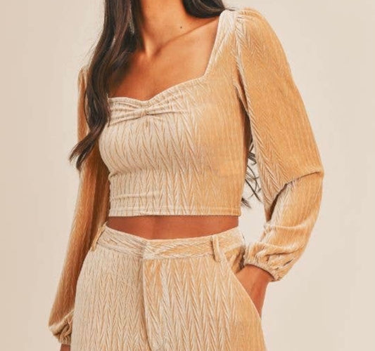 Angelica Pleated Velvet Top
